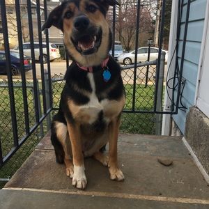 Meet your Posher, Alex